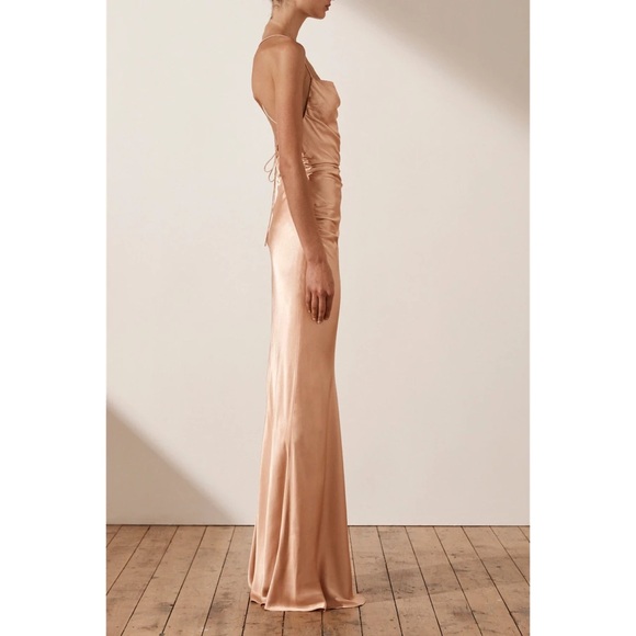 Shona Joy La Lune Lace Back Maxi Dress in Desert Rose Size 4 - Picture 6 of 7